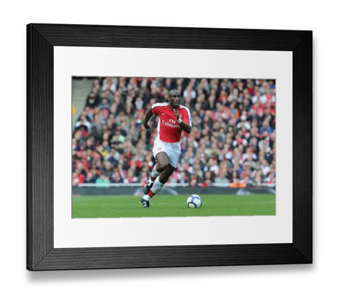 Framed Print : Sol Campbell's Game-Winning Goal: Arsenal 1-0 Wolverhampton Wanderers (Premier League, 2010) Framed Print : Sol Campbell's Game-Winning Goal: Arsenal 1-0 Wolverhampton Wanderers (Premier League, 2010)