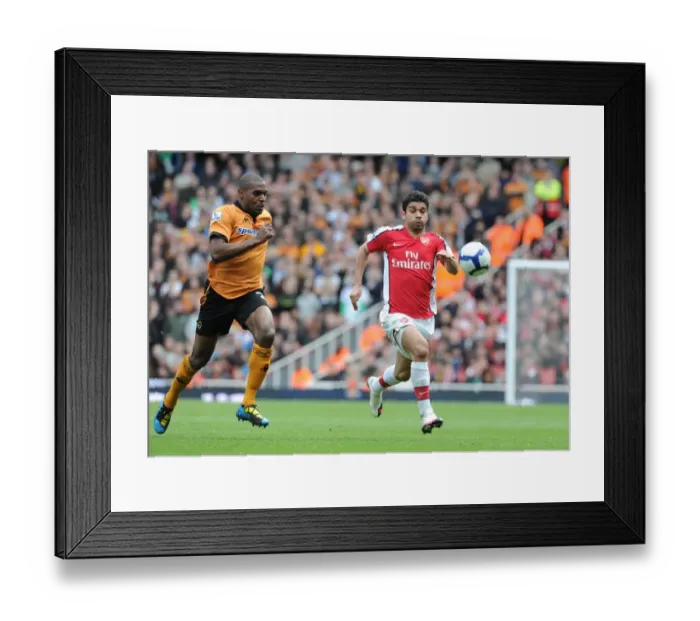 Framed Print : Eduardo (Arsenal) Ronald Zubar (Wolves). Arsenal 1: 0 Wolverhampton Wanderers