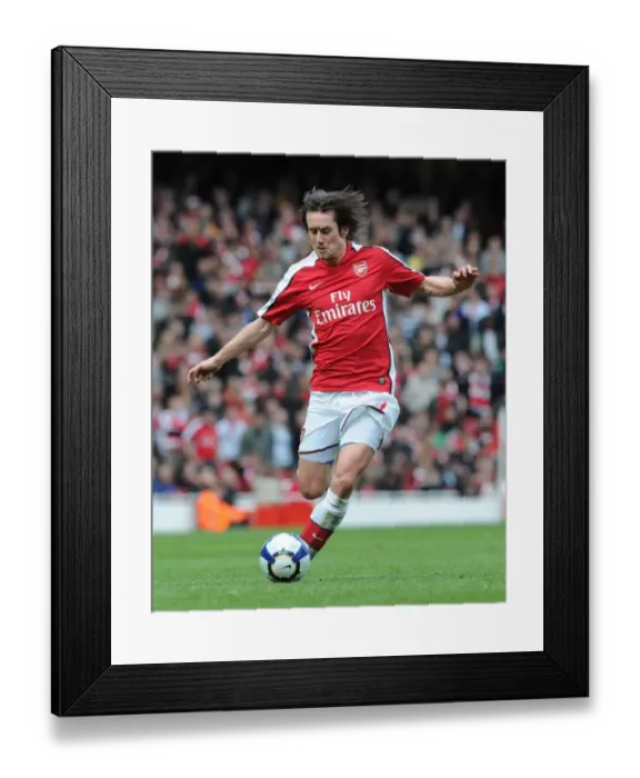Framed Print : Tomas Rosicky (Arsenal). Arsenal 1: 0 Wolverhampton Wanderers, FA Barclays Premier League