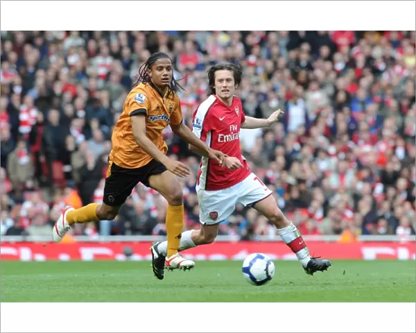 Tomas Rosicky (Arsenal) Michael Mancienne (Wolves). Arsenal 1: 0 Wolverhampton Wanderers