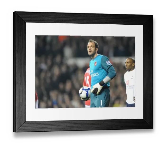 Framed Print : Manuel Almunia's Determined Performance in a Tight 2:1 Loss to Tottenham Hotspur, Barclays Premier League, 2010