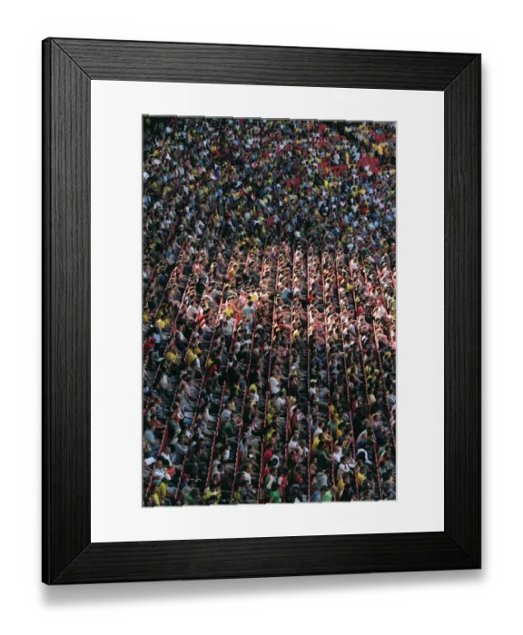 Framed Print : Fans in the lower terrace Framed Print : Fans in the lower terrace