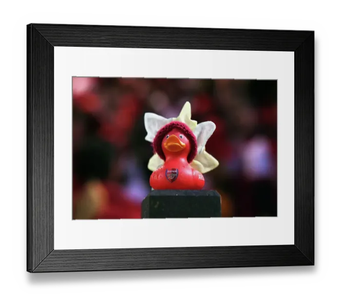 Framed Print : Arsenal vs. Reading: Tense Moment at Arsenal Women's Super League Match Framed Print : Arsenal vs. Reading: Tense Moment at Arsenal Women's Super League Match