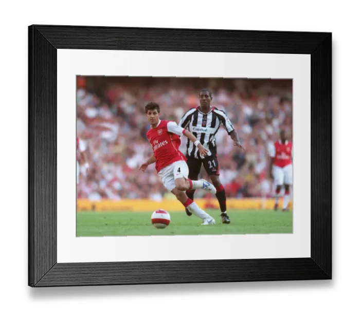 Framed Print : Cesc Fabregas (Arsenal) Mikele Liegertwood (Sheff Utd)