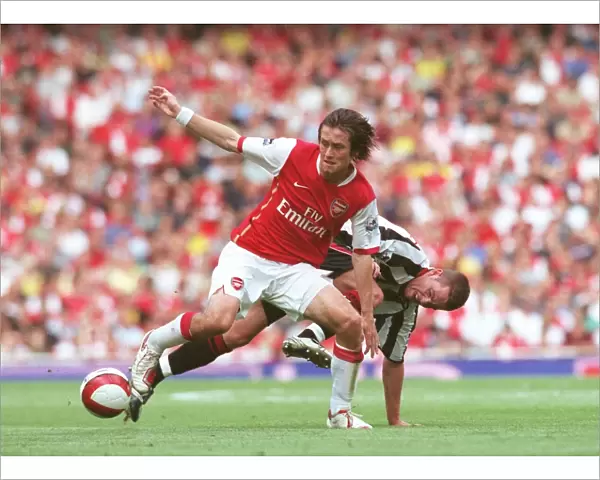 Arsenal's Rosicky Shines in 3-0 FA Premier League Victory over Sheffield United