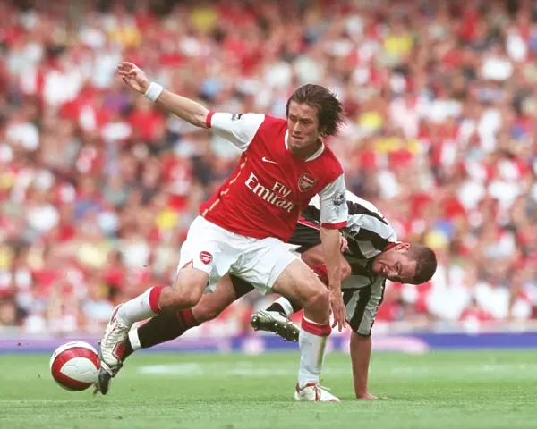 Arsenal's Rosicky Shines in 3-0 FA Premier League Victory over Sheffield United
