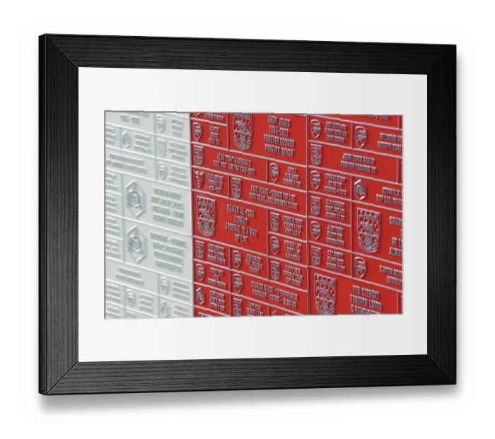 Framed Print : Arsenal's Celebration Corner: Arsenal FC vs. Nottingham Forest, Premier League 2023-24 Framed Print : Arsenal's Celebration Corner: Arsenal FC vs. Nottingham Forest, Premier League 2023-24