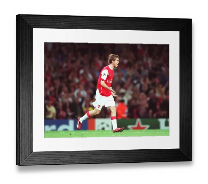Framed Print : Alex Hleb celebrates scoring Arsenals 2nd goal Framed Print : Alex Hleb celebrates scoring Arsenals 2nd goal