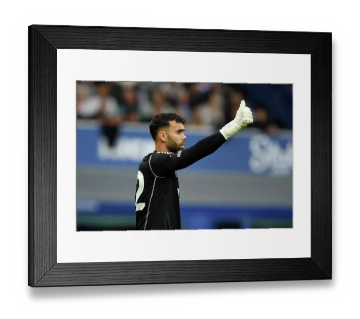 Framed Print : Arsenal's David Raya at Goodison Park: Everton vs Arsenal, Premier League 2023-24 Framed Print : Arsenal's David Raya at Goodison Park: Everton vs Arsenal, Premier League 2023-24