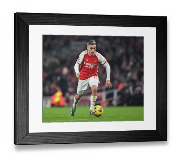 Framed Print : Arsenal's Trossard Faces Off Against Wolverhampton Wanderers in the Intense 2023-24 Premier League Clash Framed Print : Arsenal's Trossard Faces Off Against Wolverhampton Wanderers in the Intense 2023-24 Premier League Clash