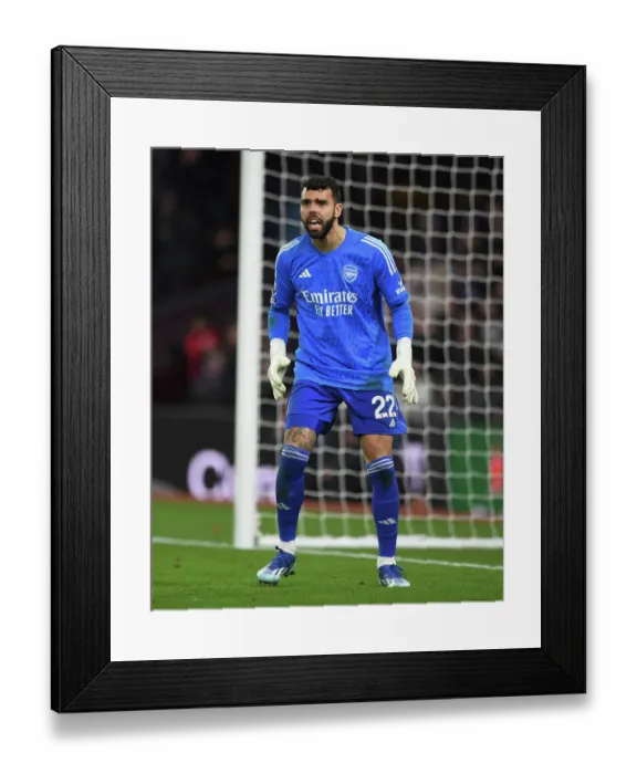 Framed Print : Arsenal's David Raya in Action: Aston Villa vs. Arsenal, 2023-24 Premier League