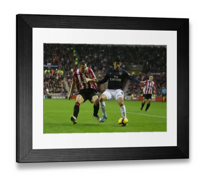 Framed Print : Eduardo (Arsenal) Phil Bardsley (Sunderland). Sunderland 1: 0 Arsenal, Barclays Premier League