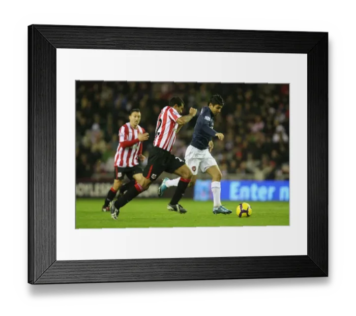 Framed Print : Eduardo (Arsenal) Paulo Da Silva (Sunderland). Sunderland 1: 0 Arsenal, Barclays Premier League