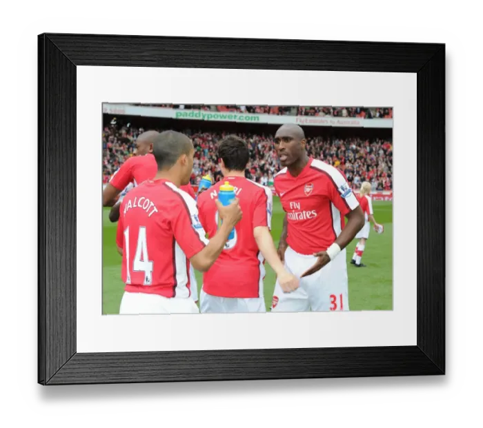 Framed Print : Sol Campbell and Theo Walcott (Arsenal). Arsenal 4: 0 Fulham, Barclays Premier League Framed Print : Sol Campbell and Theo Walcott (Arsenal). Arsenal 4: 0 Fulham, Barclays Premier League