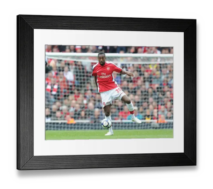 Framed Print : Arsenal's Johan Djourou Celebrates in 4-0 Victory Over Fulham, Barclays Premier League, Emirals Stadium