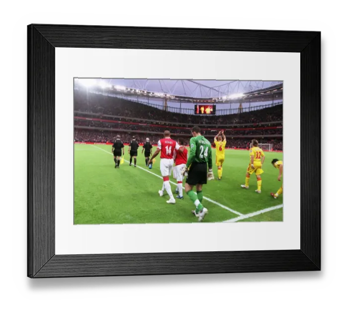 Framed Print : Thierry Henry and Manuel Almunia (Arsenal) walk out onto the pitch Framed Print : Thierry Henry and Manuel Almunia (Arsenal) walk out onto the pitch
