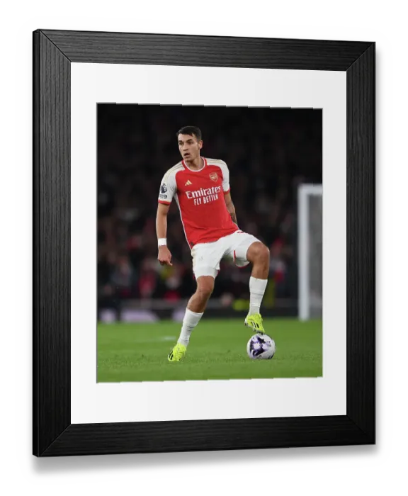 Framed Print : Arsenal FC v Newcastle United - Premier League Framed Print : Arsenal FC v Newcastle United - Premier League
