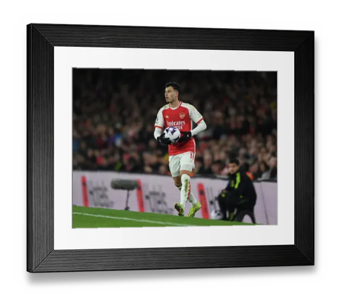 Framed Print : Arsenal FC v Newcastle United - Premier League Framed Print : Arsenal FC v Newcastle United - Premier League