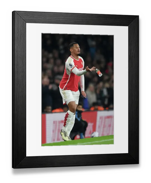 Framed Print : Arsenal FC v Newcastle United - Premier League Framed Print : Arsenal FC v Newcastle United - Premier League