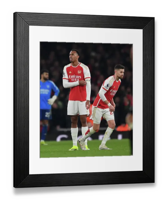 Framed Print : Arsenal FC v Newcastle United - Premier League Framed Print : Arsenal FC v Newcastle United - Premier League