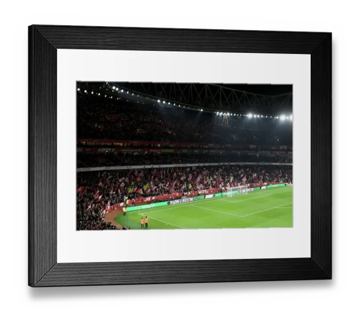 Framed Print : Arsenal FC v Newcastle United - Premier League Framed Print : Arsenal FC v Newcastle United - Premier League