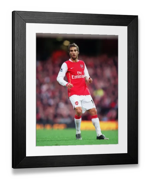 Framed Print : Mathieu Flamini in Action: Arsenal vs Newcastle United, FA Premiership, Emirates Stadium, 18 / 11 / 06