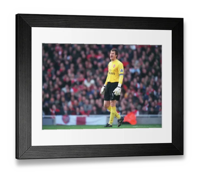 Framed Print : Arsenal vs. Newcastle United: Lehmann's Unbeaten Stalemate, FA Premiership, Emirates Stadium (18 / 11 / 06)
