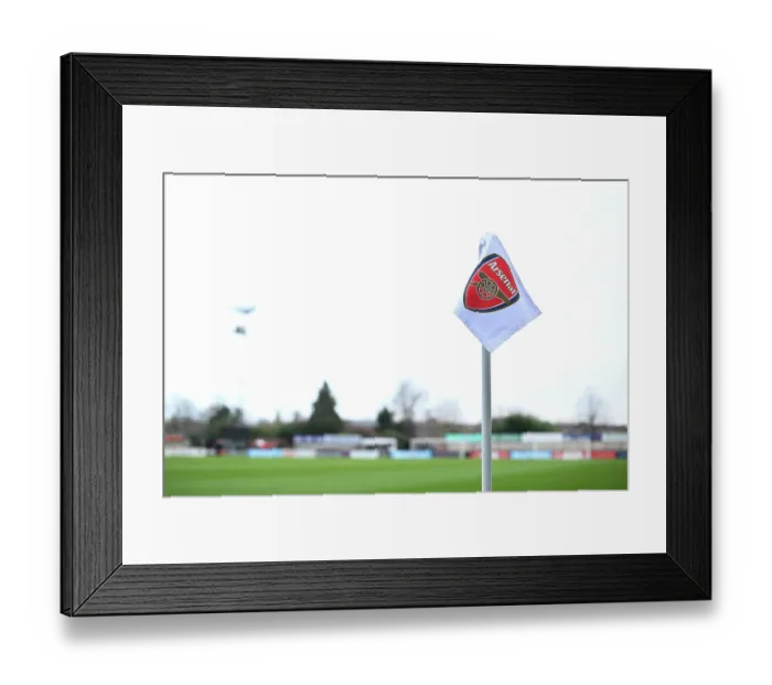 Framed Print : Arsenal v Aston Villa - FA Women's Continental Tyres League Cup Semi Final Framed Print : Arsenal v Aston Villa - FA Women's Continental Tyres League Cup Semi Final