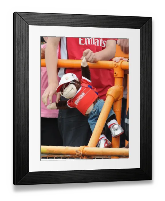 Framed Print : Arsenal monkey enjoys the match. Barnet 0: 4 Arsenal, Pre season friendly
