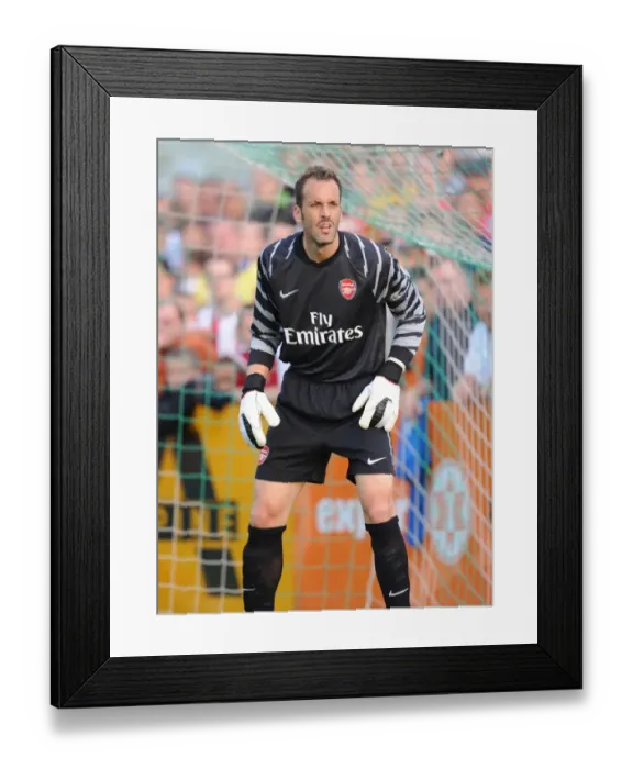 Framed Print : Almunia's Glorious Performance: Arsenal's 4-0 Triumph Framed Print : Almunia's Glorious Performance: Arsenal's 4-0 Triumph