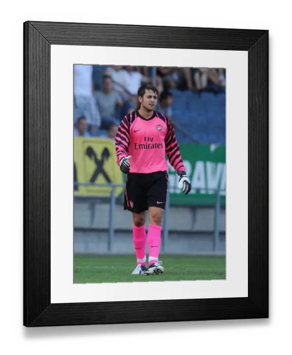 Framed Print : Arsenal's Fabianski Shines in 4-0 Win Over Sturm Graz, Austria 2010
