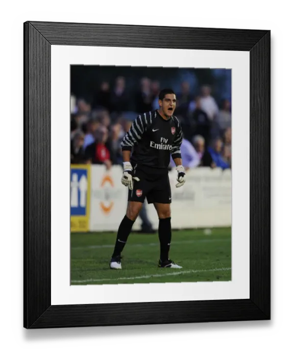 Framed Print : Vito Mannone's Shine: Arsenal Crushes SC Neusiedl 4-0 Framed Print : Vito Mannone's Shine: Arsenal Crushes SC Neusiedl 4-0