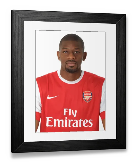 Framed Print : Abou Diaby (Arsenal). Arsenal 1st Team Photocall and Membersday. Emirates Stadium, 5  /  8  /  10