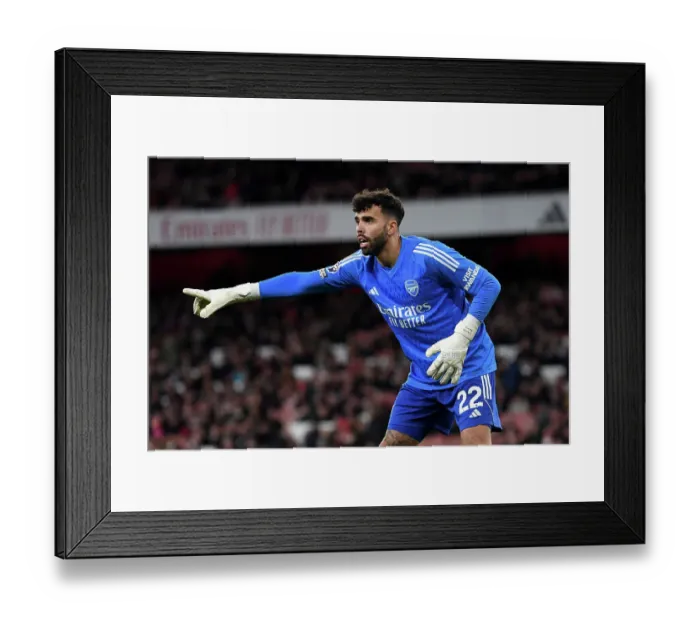 Framed Print : Arsenal FC v Luton Town - Premier League Framed Print : Arsenal FC v Luton Town - Premier League