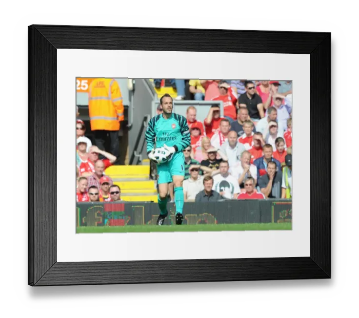 Framed Print : Manuel Almunia's Duel: Liverpool 1-1 Arsenal, Premier League 2010-11