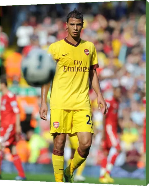Marouane Chamakh (Arsenal). Liverpool 1: 1 Arsenal, Barclays Premier League