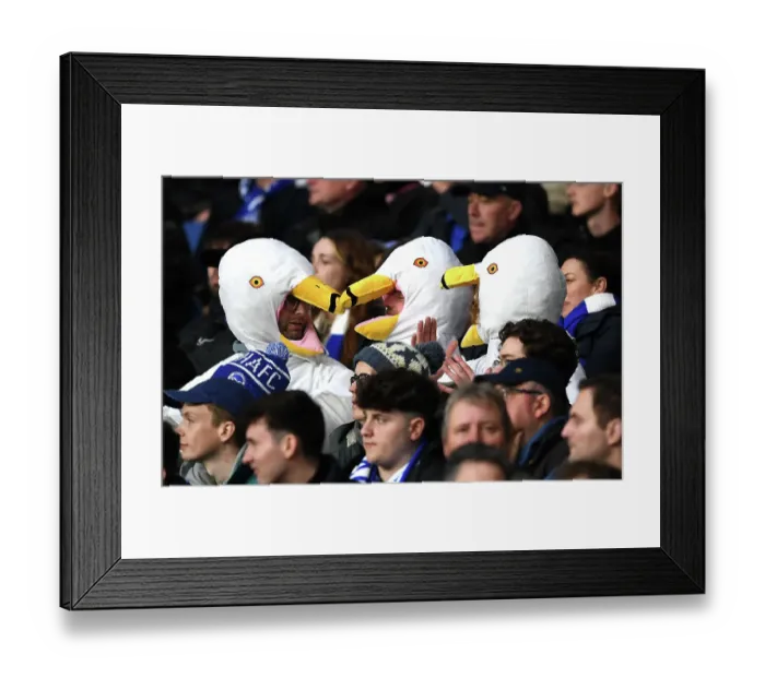 Framed Print : Brighton & Hove Albion v Arsenal FC - Premier League Framed Print : Brighton & Hove Albion v Arsenal FC - Premier League