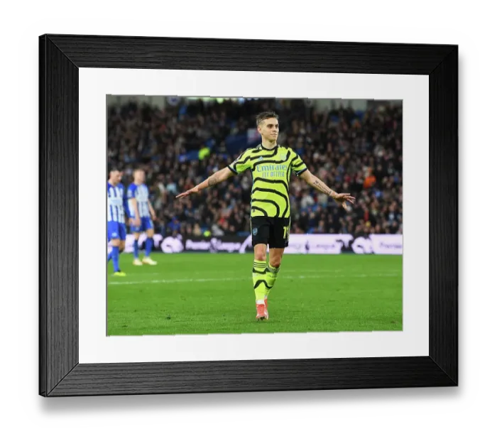 Framed Print : Brighton & Hove Albion v Arsenal FC - Premier League