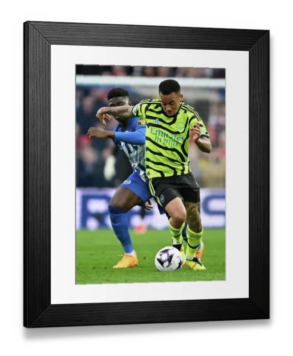 Framed Print : Brighton & Hove Albion v Arsenal FC - Premier League Framed Print : Brighton & Hove Albion v Arsenal FC - Premier League