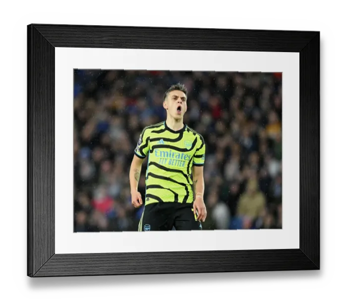 Framed Print : Brighton & Hove Albion v Arsenal FC - Premier League Framed Print : Brighton & Hove Albion v Arsenal FC - Premier League