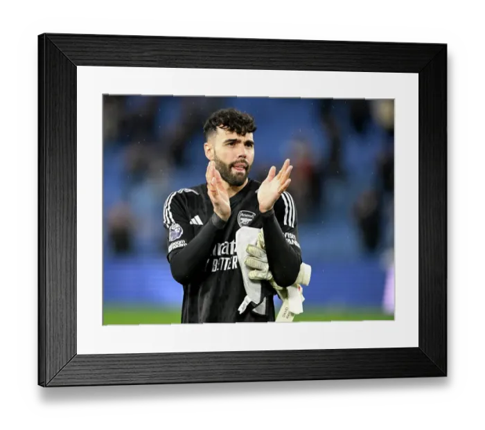 Framed Print : Brighton & Hove Albion v Arsenal FC - Premier League Framed Print : Brighton & Hove Albion v Arsenal FC - Premier League