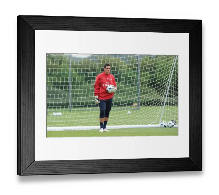 Framed Print : Vito Mannone (Arsenal). Arsenal Training Ground, London Colney, Hertfordshire, 7 / 7 / 2010 Framed Print : Vito Mannone (Arsenal). Arsenal Training Ground, London Colney, Hertfordshire, 7 / 7 / 2010