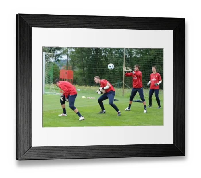 Framed Print : Manuel Almunia, Wojcuech Szczesny, Vito Mannone and Lucasz Fabianski (Arsenal) Framed Print : Manuel Almunia, Wojcuech Szczesny, Vito Mannone and Lucasz Fabianski (Arsenal)