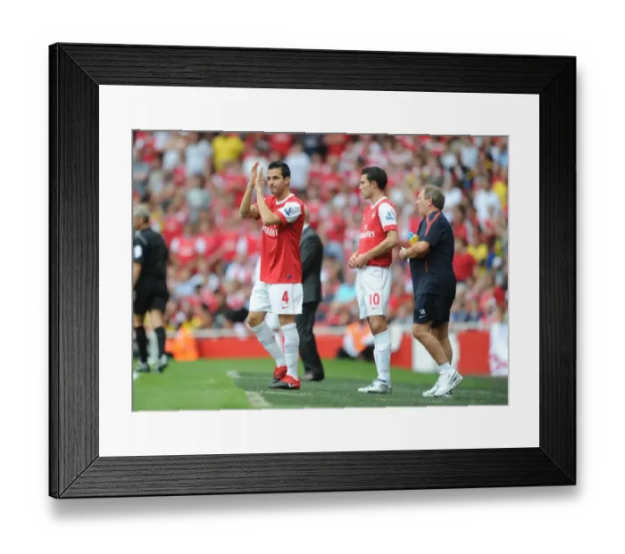 Framed Print : Arsenal substitute Cesc Fabregas. Arsenal 6: 0 Blackpool, Barclays Premier League Framed Print : Arsenal substitute Cesc Fabregas. Arsenal 6: 0 Blackpool, Barclays Premier League
