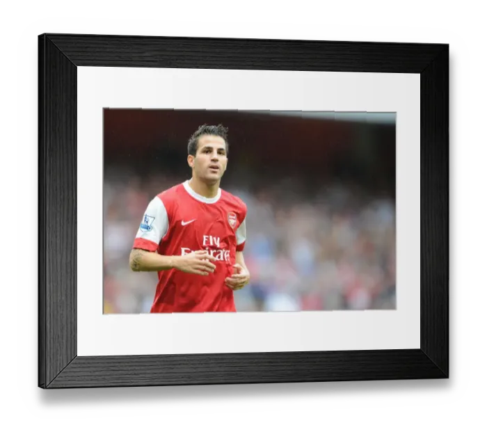 Framed Print : Arsenal's Cesc Fabregas Shines in 6-0 Barclays Premier League Victory over Blackpool at Emirates Stadium