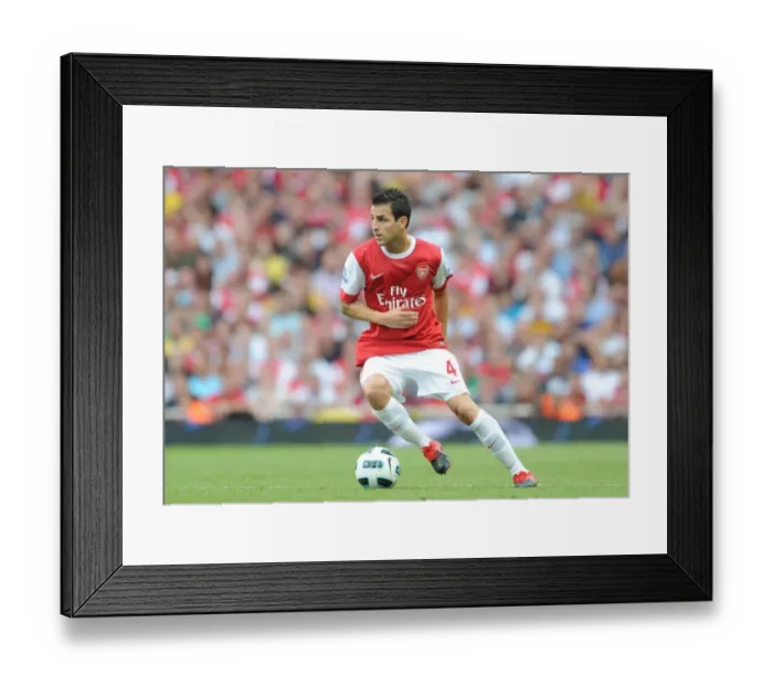 Framed Print : Arsenal's Cesc Fabregas Shines in 6-0 Rout of Blackpool Framed Print : Arsenal's Cesc Fabregas Shines in 6-0 Rout of Blackpool