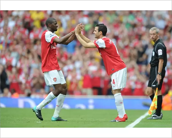 Arsenal substitute Cesc Fabregas replaces Abou Diaby. Arsenal 6: 0 Blackpool