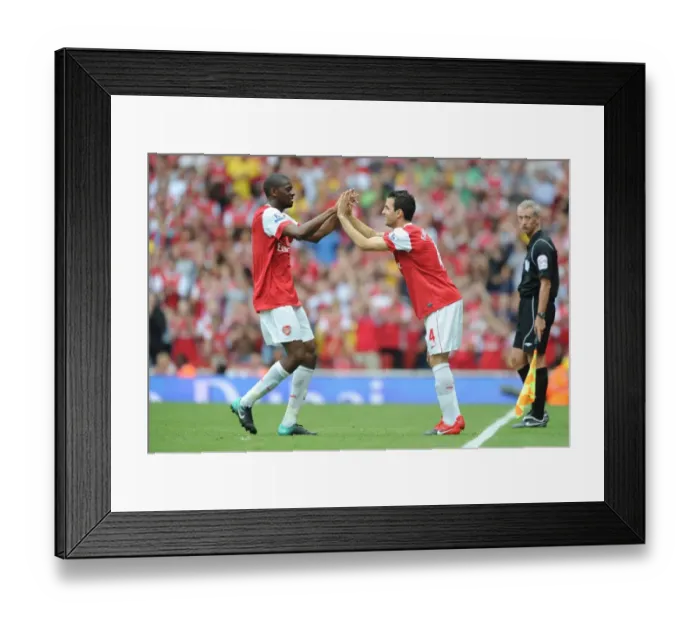 Framed Print : Arsenal substitute Cesc Fabregas replaces Abou Diaby. Arsenal 6: 0 Blackpool