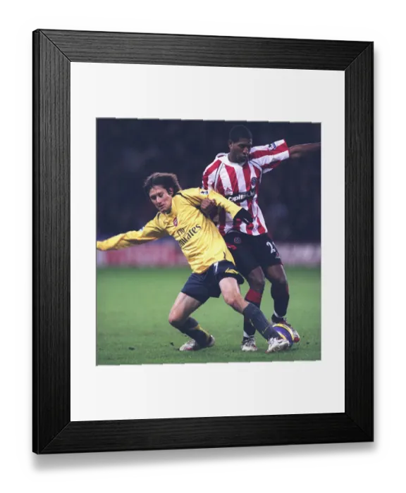 Framed Print : Tomas Rosicky (Arsenal) Mikele Leigertwood (Sheff Utd) Framed Print : Tomas Rosicky (Arsenal) Mikele Leigertwood (Sheff Utd)