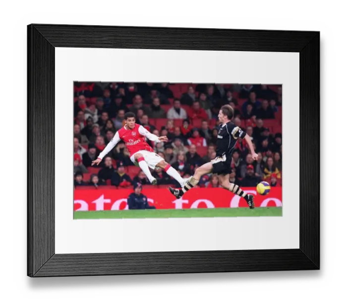 Framed Print : Denilson (Arsenal) Matt Holland (Charlton)